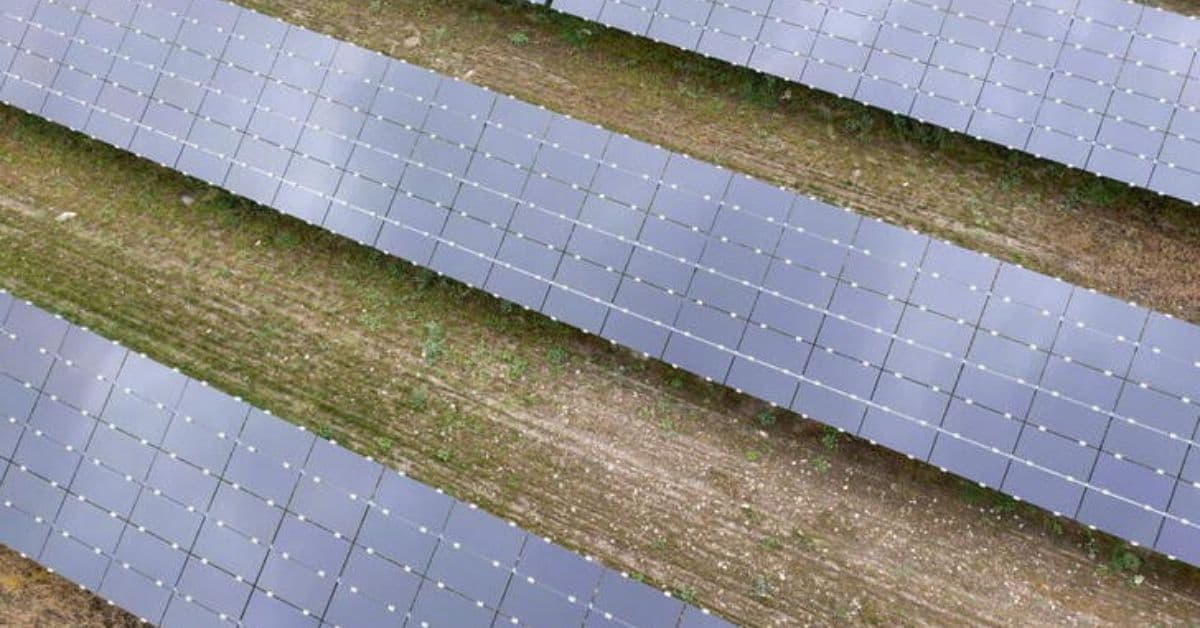 Energia solar no Brasil: olhar o passado para ‘energizar’ o futuro