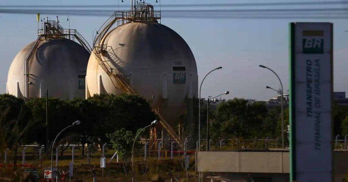 Transpetro inaugura usina solar para abastecer todo seu terminal de Guarulhos