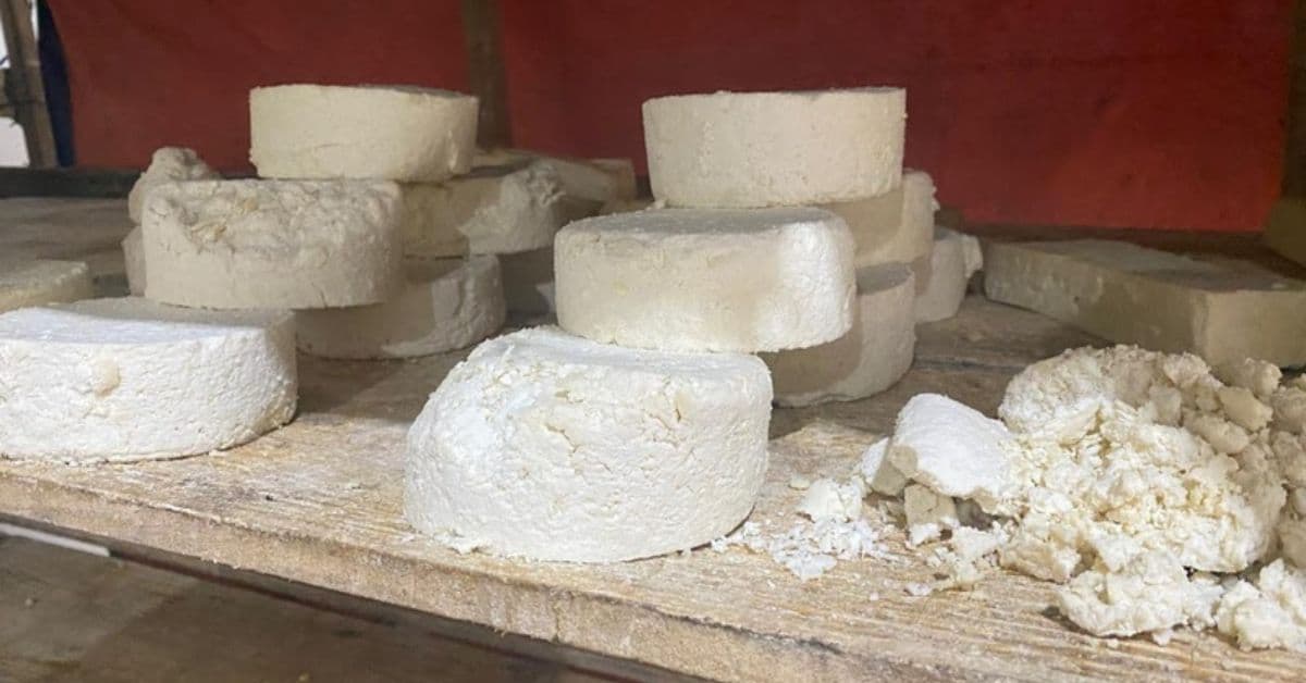Queijo vencido que abastecia fábricas de pão de queijo em Curitiba é apreendido em Patos de Minas