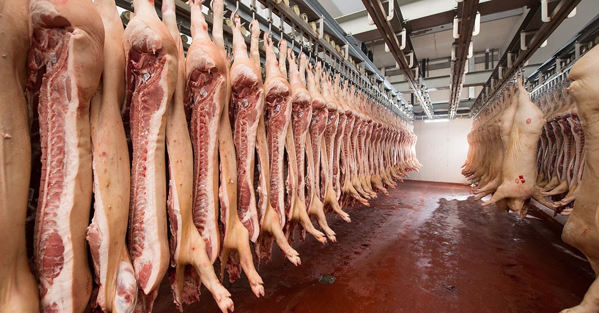Dez indústrias de carnes do Rio Grande do Sul estão com produção paralisada