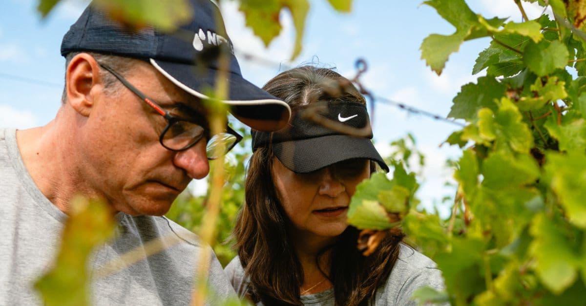 Vinícola Mil Vidas quer dobrar a produção de uvas em Ritápolis