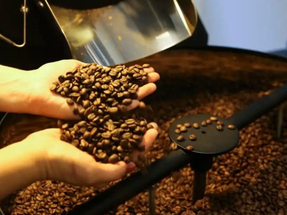 Grãos de café brasileiro em processo de torra; novas regras da UE podem dificultar exportação de pequenos produtores