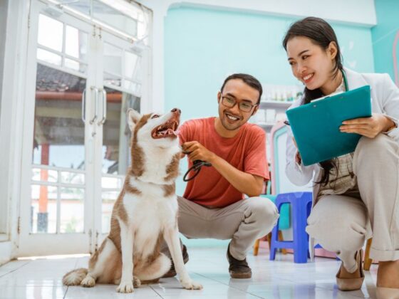 Atendimento veterinário com valor social, meramente ilustrativo.