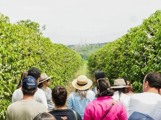 Pessoas em novas experiências turísticas em MG.