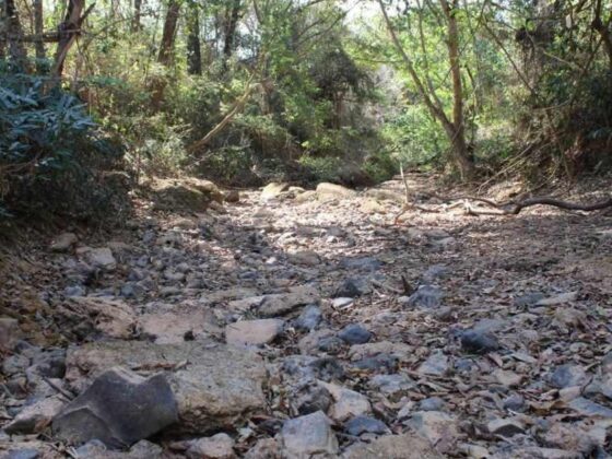 Rio Pacuí sem água.