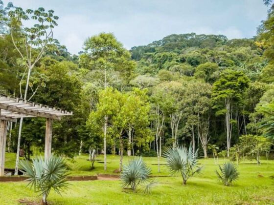 Jardim Botânico em Juiz de Fora.