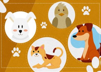 carteira nacional de animais domésticos