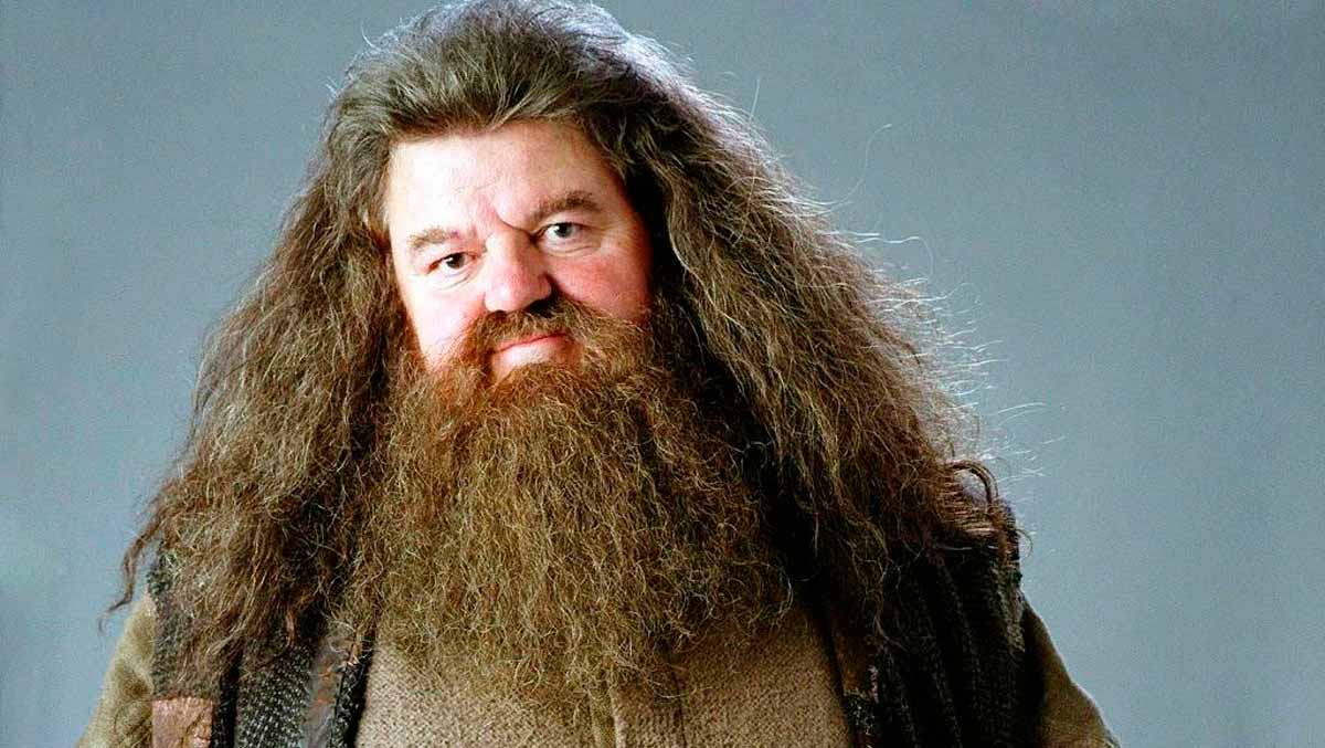 hagrid harry potter