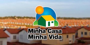 Imagem: Leonardo Dantas Teixeira / shutterstock.com