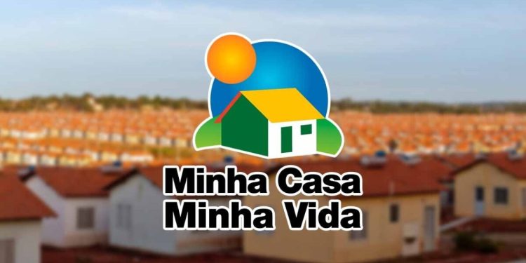 Imagem: Leonardo Dantas Teixeira / shutterstock.com