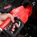 gasolina