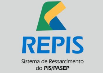 repis pis/pasep