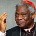 papa cardeal peter turkson