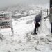 Neve Brasil