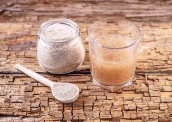 psyllium é melhor que whey e creatina