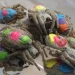 aranhas hippies