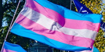 bandeira trans