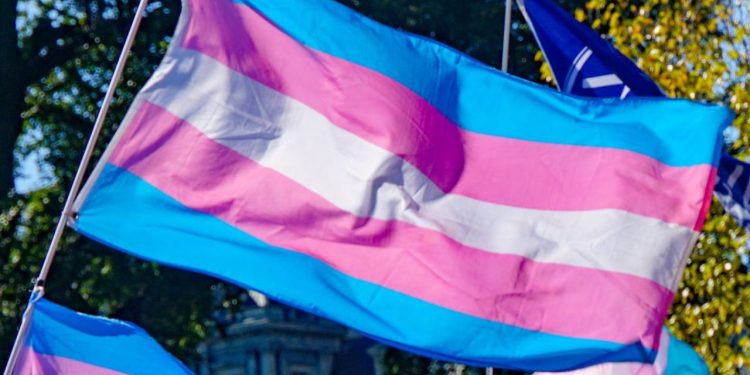 bandeira trans
