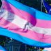 bandeira trans
