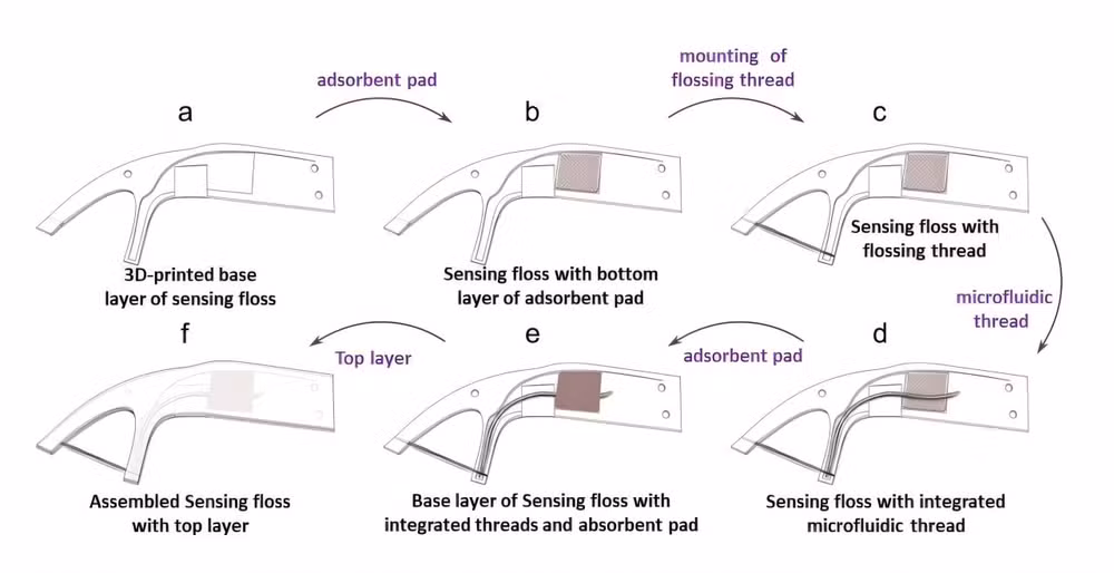 fio dental medidor cortisol