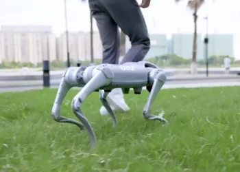 Cachorro tecnológico