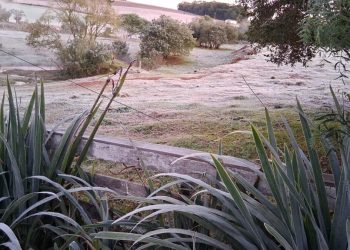 Frio