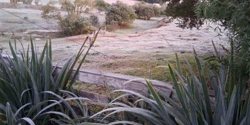Frio