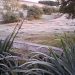 Frio