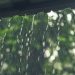 chuva