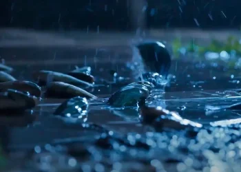 cidade onde chove peixe