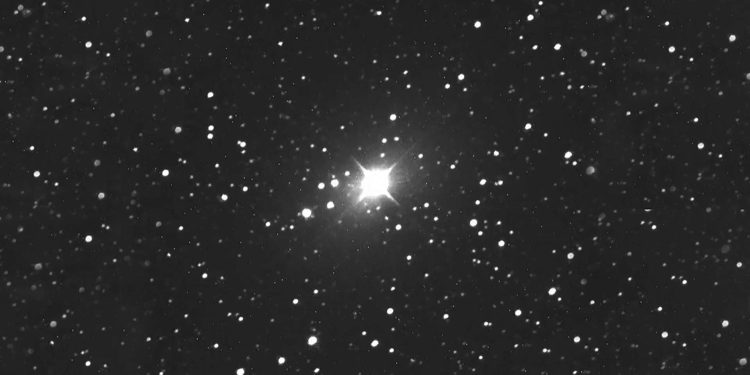 estrela constelação