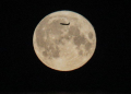 Lua Cheia
