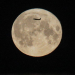 Lua Cheia