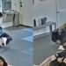 jiu-jitsu incidente