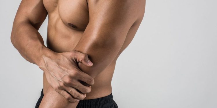 massa muscular