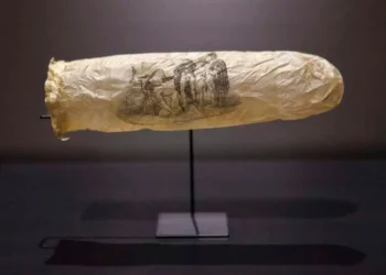 preservativo museu holanda