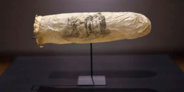 preservativo museu holanda