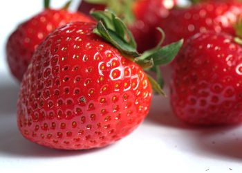 Imagem ilustrativa: Pixabay