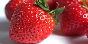 Imagem ilustrativa: Pixabay