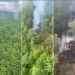 Redes sociais/Reprodução