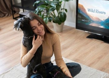 cachorro televisão