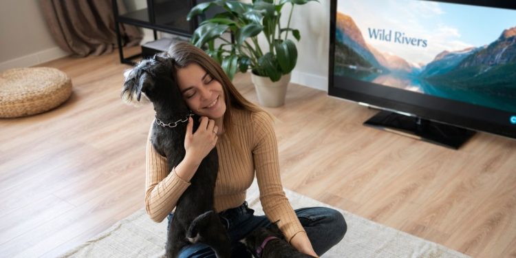 cachorro televisão