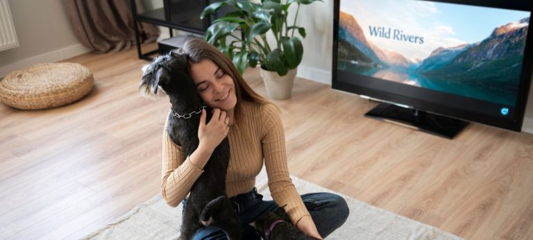 cachorro televisão