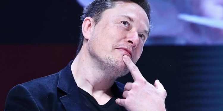 Elon Musk (Reprodução/X)