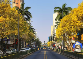 cidade árvores