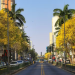 cidade árvores