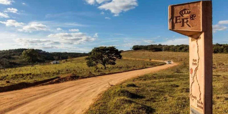 Cidade Brasil