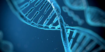 DNA