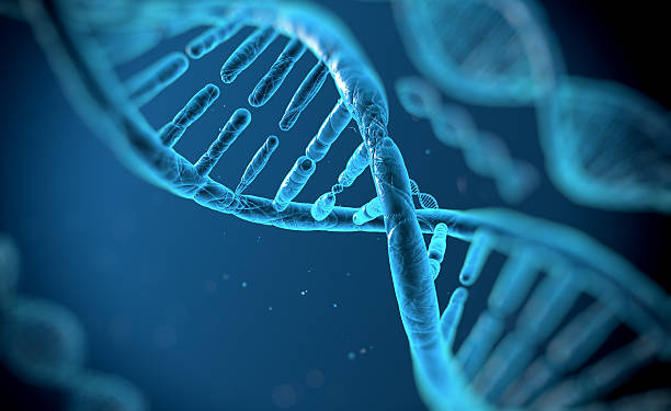 DNA