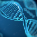 DNA